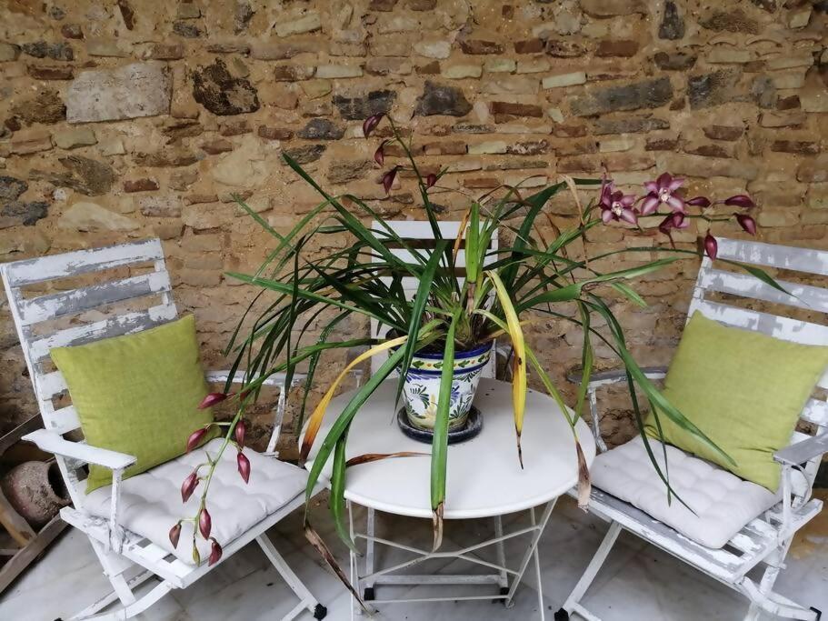 Apartamento Orégano Sanlúcar de Barrameda Exterior foto
